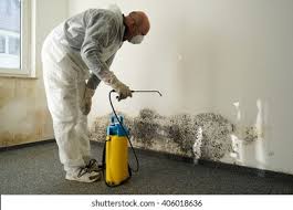 Best Black Mold Removal in South Sioux City, NE